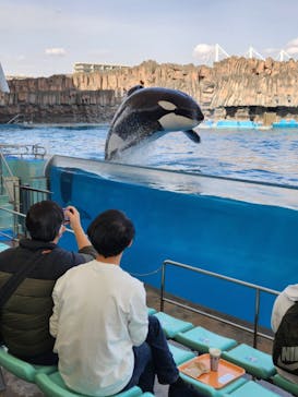 名古屋港水族館に投稿された画像（2023/3/18）
