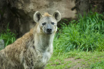 天王寺動物園に投稿された画像（2023/3/18）