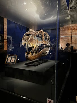 特別展「恐竜博2023」に投稿された画像（2023/3/19）