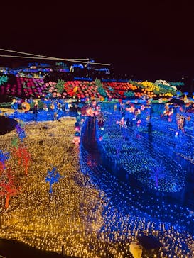 伊豆ぐらんぱる公園に投稿された画像（2023/3/19）