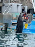 名古屋港水族館に投稿された画像（2023/3/19）