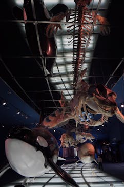 名古屋港水族館に投稿された画像（2023/3/19）