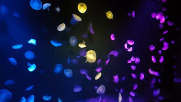 サンシャイン水族館に投稿された画像（2023/3/19）