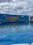 仙台うみの杜水族館に投稿された画像（2023/3/19）