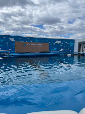仙台うみの杜水族館に投稿された画像（2023/3/19）