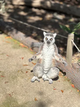 神戸どうぶつ王国に投稿された画像（2023/3/19）
