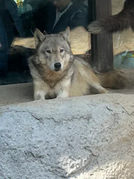 神戸どうぶつ王国に投稿された画像（2023/3/19）