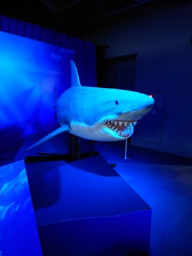 新江ノ島水族館に投稿された画像（2023/3/19）