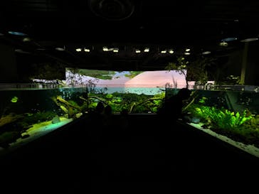 カワスイ 川崎⽔族館に投稿された画像（2023/3/19）