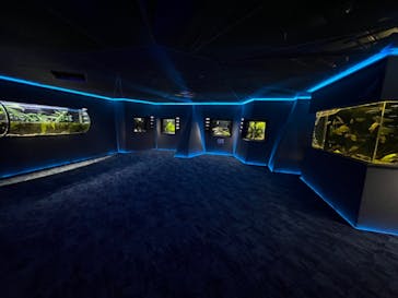 カワスイ 川崎⽔族館に投稿された画像（2023/3/19）