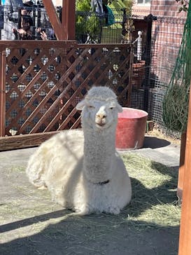 東武動物公園に投稿された画像（2023/3/19）