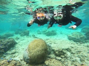 沖縄マリンサービス碧に投稿された画像（2023/3/19）