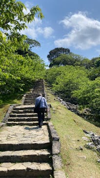 今帰仁城跡に投稿された画像（2023/3/19）