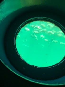 串本海中公園水族館に投稿された画像（2023/3/19）