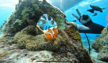 青の洞窟専門店　沖縄ダイビングショップ和に投稿された画像（2023/3/19）