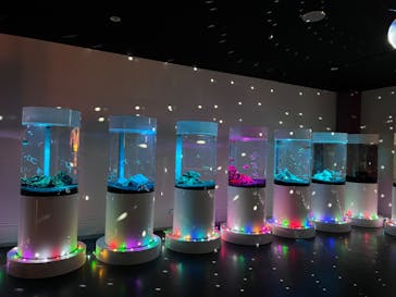 NARA KINGYO MUSEUMに投稿された画像（2023/3/19）