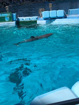 名古屋港水族館に投稿された画像（2023/3/19）