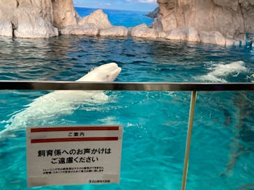 名古屋港水族館に投稿された画像（2023/3/19）