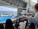 マリンワールド海の中道に投稿された画像（2023/3/19）
