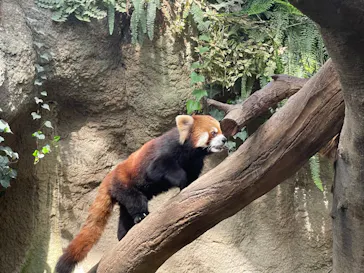 神戸どうぶつ王国に投稿された画像（2023/3/19）