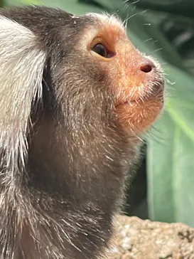 神戸どうぶつ王国に投稿された画像（2023/3/19）