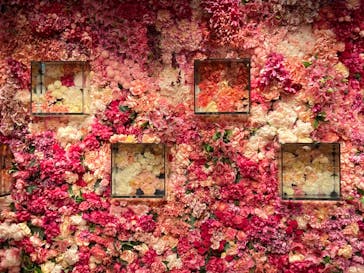 NARA KINGYO MUSEUMに投稿された画像（2023/3/19）