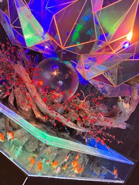 NARA KINGYO MUSEUMに投稿された画像（2023/3/19）