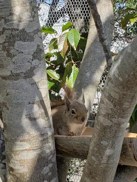 神戸どうぶつ王国に投稿された画像（2023/3/19）