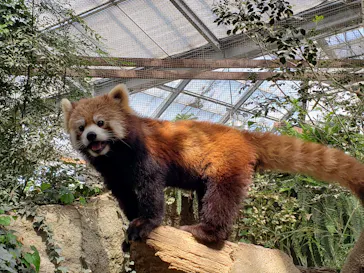 神戸どうぶつ王国に投稿された画像（2023/3/19）