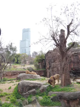 天王寺動物園に投稿された画像（2023/3/19）