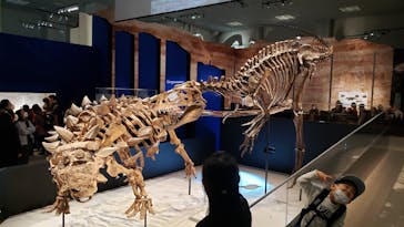 特別展「恐竜博2023」に投稿された画像（2023/3/19）