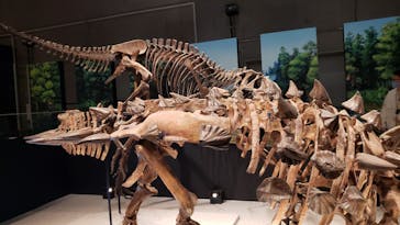 特別展「恐竜博2023」に投稿された画像（2023/3/19）