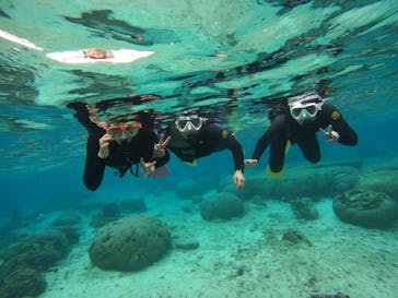 沖縄マリンサービス碧に投稿された画像（2023/3/19）