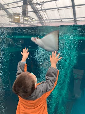 環境水族館アクアマリンふくしまに投稿された画像（2023/3/19）