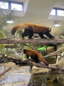 那須どうぶつ王国に投稿された画像（2023/3/19）