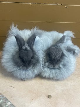 那須どうぶつ王国に投稿された画像（2023/3/19）