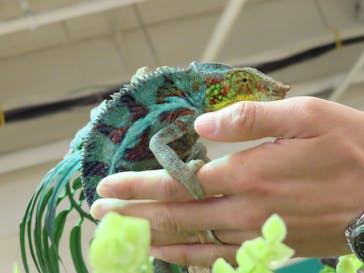 いきもの探検隊湘南に投稿された画像（2023/3/19）