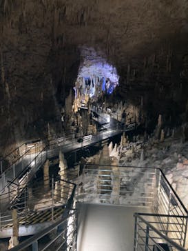 おきなわワールドに投稿された画像（2023/3/19）