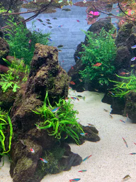 すみだ水族館に投稿された画像（2023/3/19）