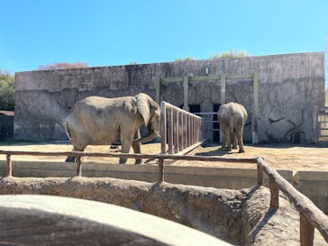 東武動物公園に投稿された画像（2023/3/19）