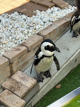 マリンワールド海の中道に投稿された画像（2023/3/19）