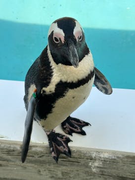 マリンワールド海の中道に投稿された画像（2023/3/19）