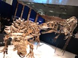 特別展「恐竜博2023」に投稿された画像（2023/3/19）