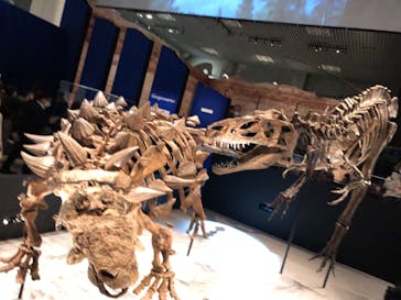 特別展「恐竜博2023」に投稿された画像（2023/3/19）