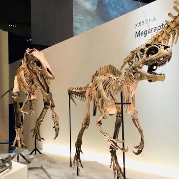 特別展「恐竜博2023」に投稿された画像（2023/3/19）
