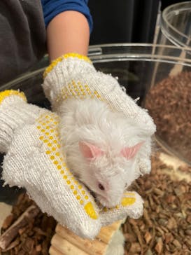 Moff animal cafe イオンモール幕張新都心店に投稿された画像（2023/3/19）