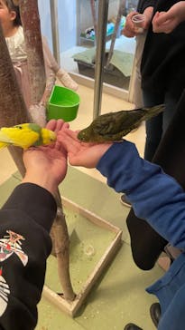 Moff animal cafe イオンモール幕張新都心店に投稿された画像（2023/3/19）