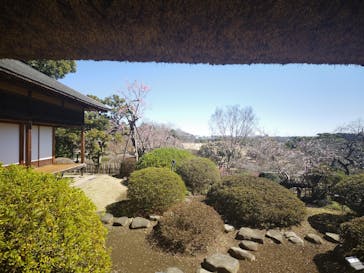 偕楽園本園に投稿された画像（2023/3/19）