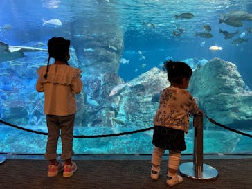 大分マリーンパレス水族館 「うみたまご」に投稿された画像（2023/3/19）