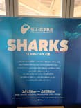 新江ノ島水族館に投稿された画像（2023/3/19）